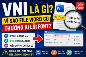 vni la gi